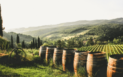 Discover Piedmont with Lucrezia Grande: A Journey Through Italy’s Hidden Gem