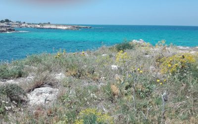 🇺🇸 CASE STUDY: SAM – RECONNECTING WITH HIS SICILIAN ROOTS