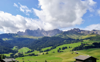🇸🇪 CASE STUDY: ERIK – THE FIRST STEP TOWARDS A DREAM IN THE ALPS